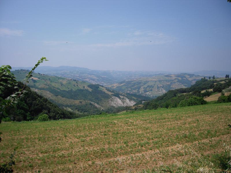 RUNEDA 2010 (4).JPG
